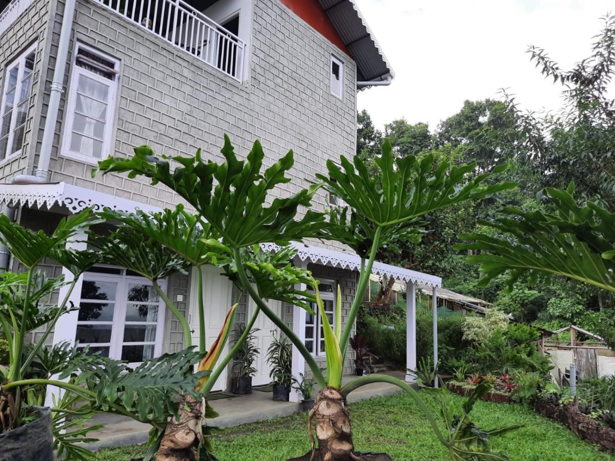Aaravi Garden Homestay Kalimpong Exterior photo
