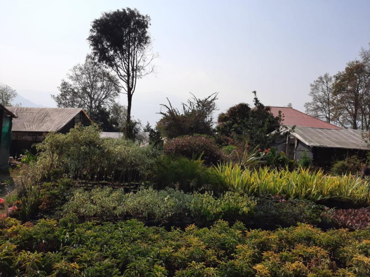 Aaravi Garden Homestay Kalimpong Exterior photo